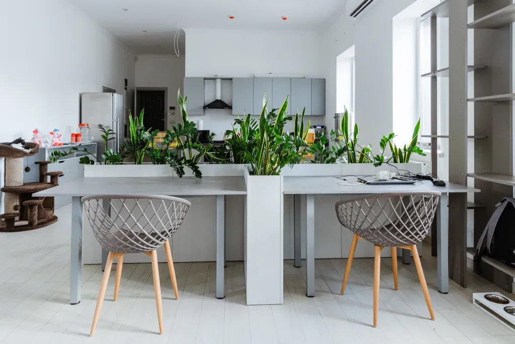 Cosy and productive coworking space