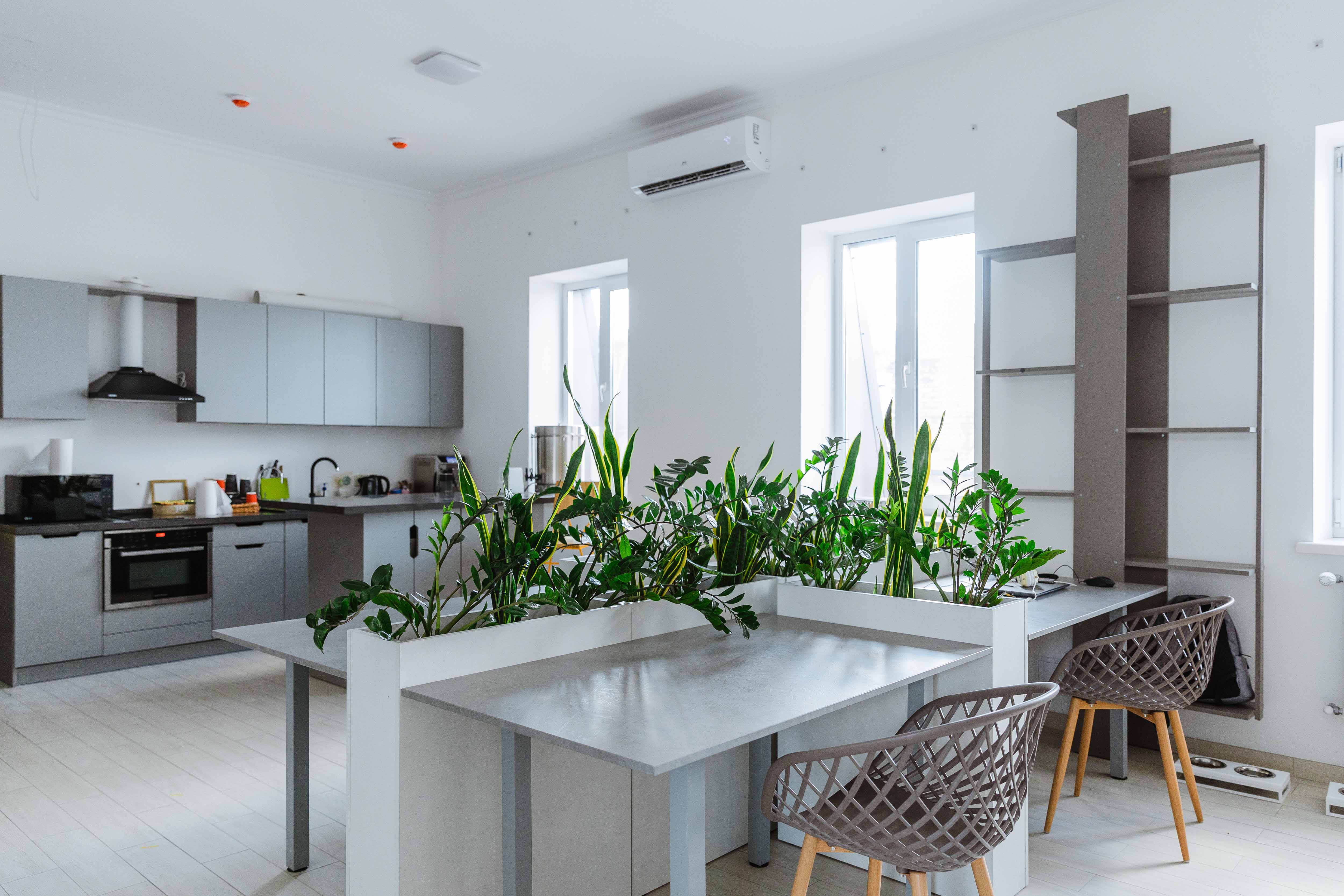 Office life and remote working after the quarantine.